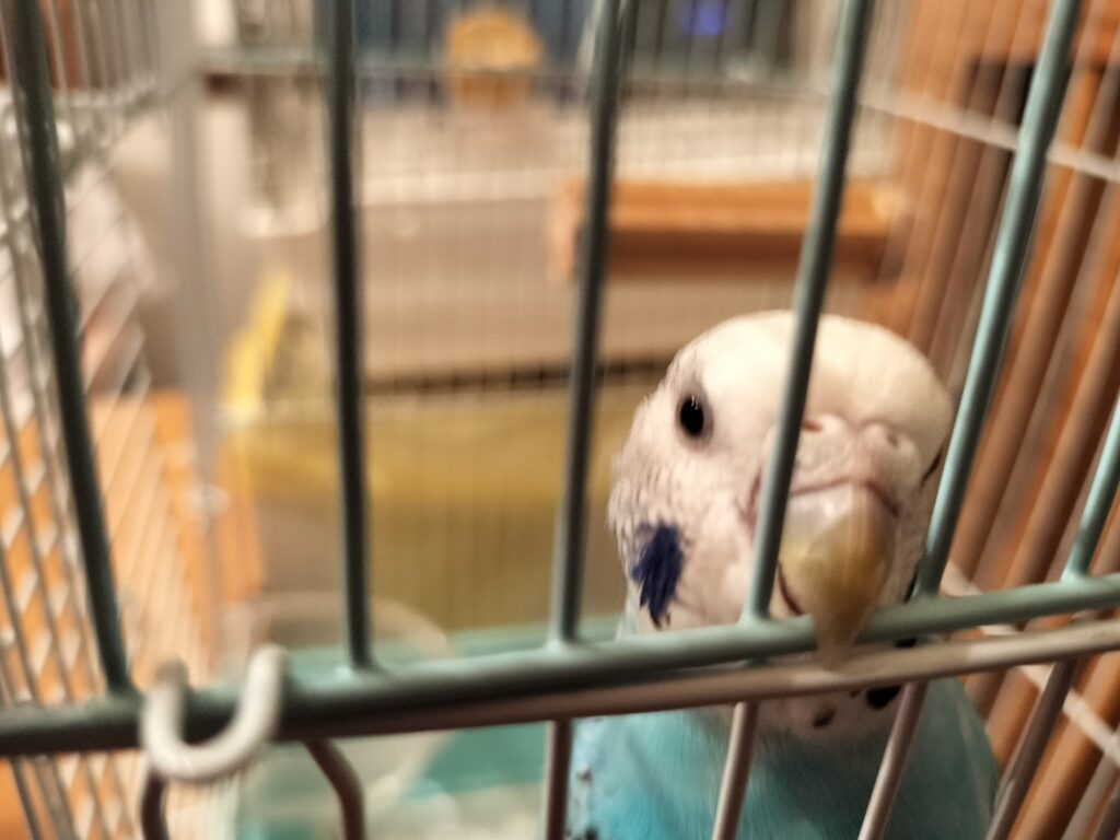 今日のツブちゃん③