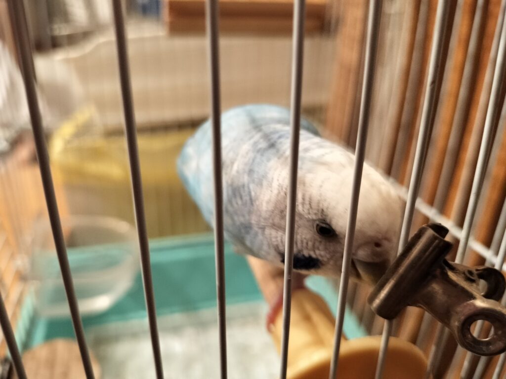 今日のツブちゃん①