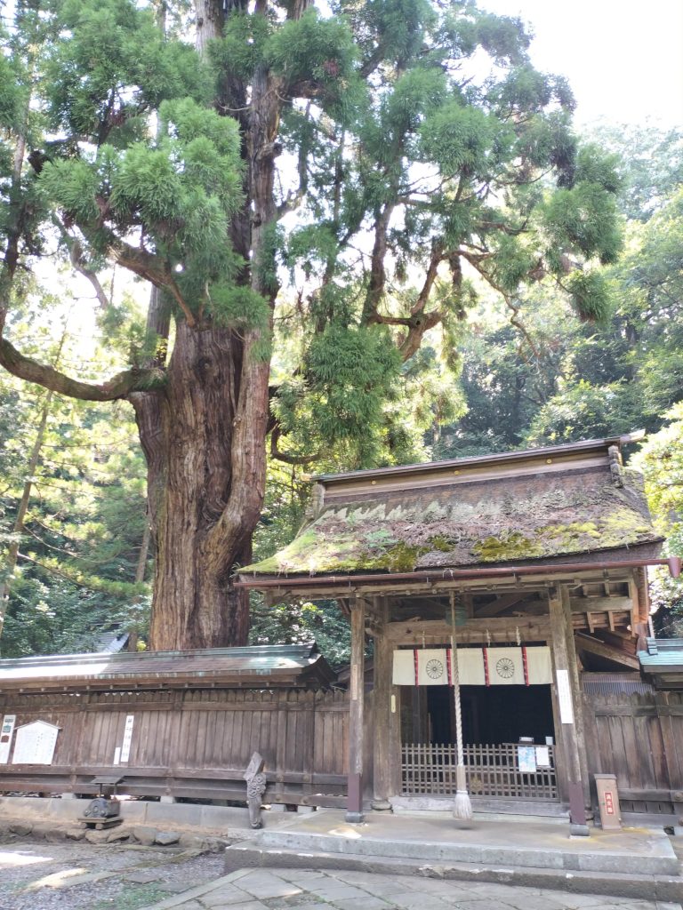 神社